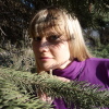 Ситникова Екатерина