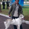Хасхачих Фёдор